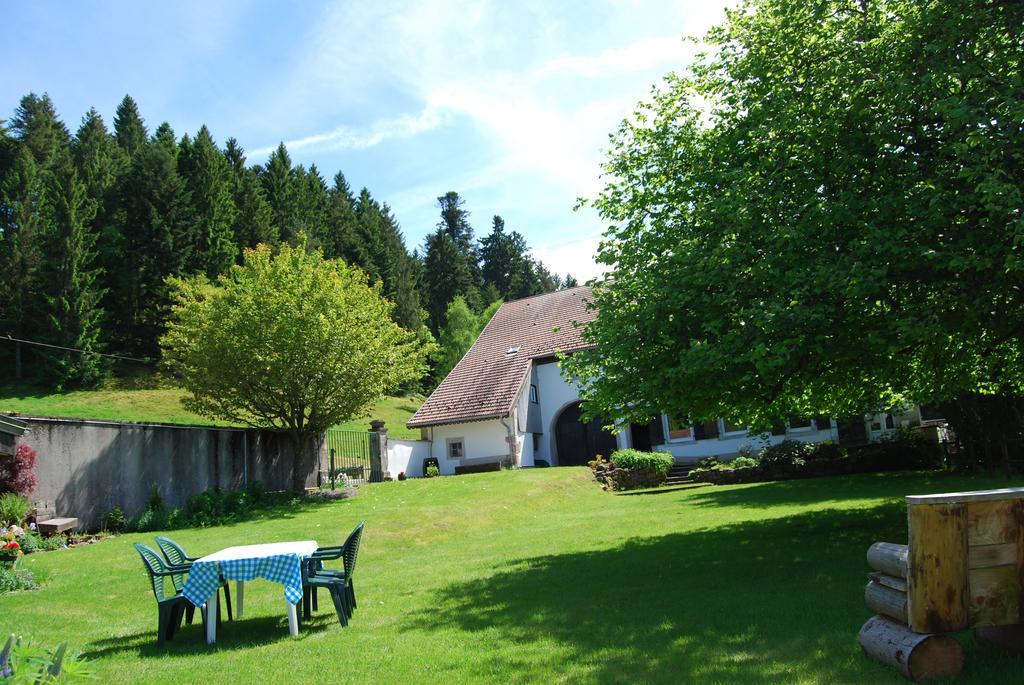 Chambre D'Hotes Kieffer Le Grand Bienfaisy Remiremont Buitenkant foto